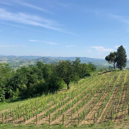 Bed and Breakfast Cascina San Michele Costigliole d'Asti Exterior foto