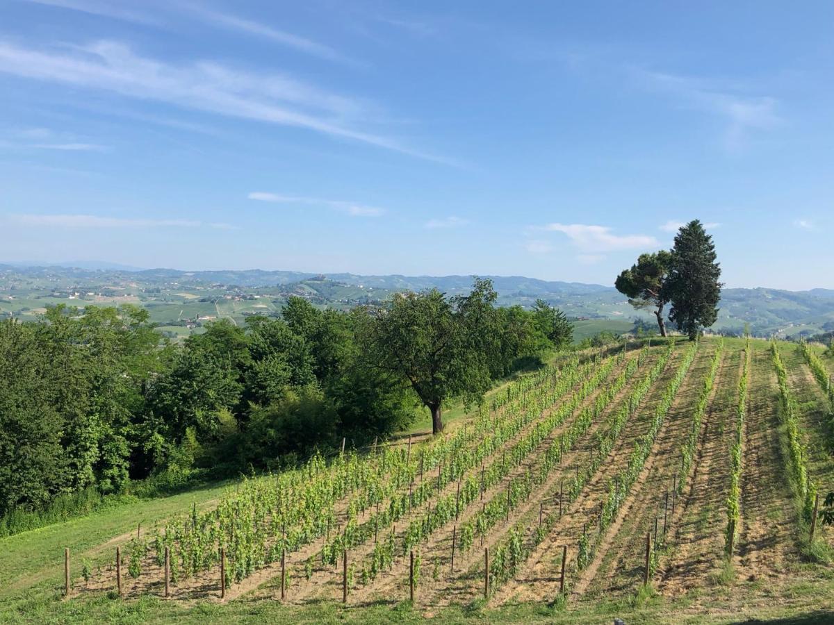 Bed and Breakfast Cascina San Michele Costigliole d'Asti Exterior foto