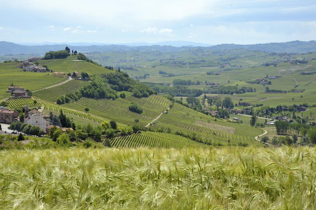 Bed and Breakfast Cascina San Michele Costigliole d'Asti Exterior foto