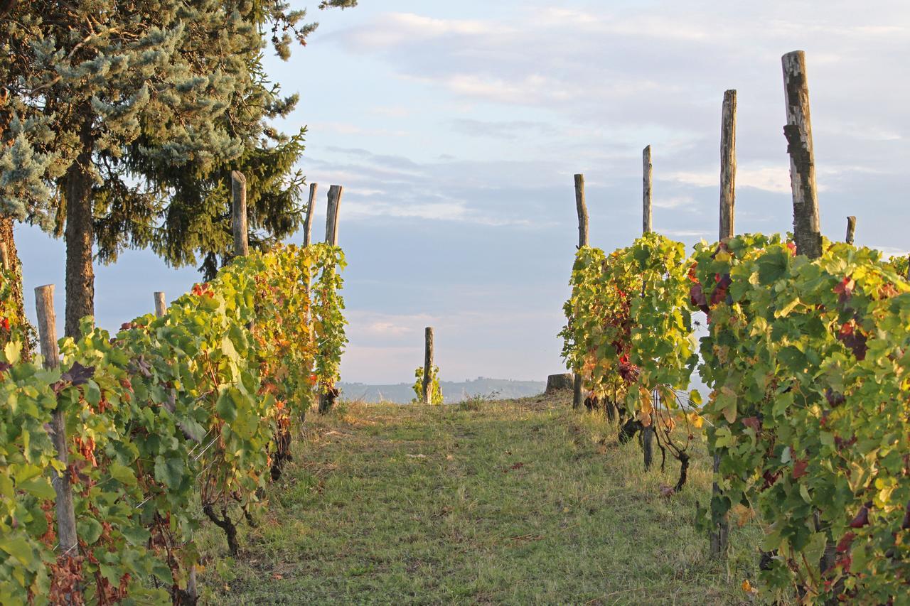 Bed and Breakfast Cascina San Michele Costigliole d'Asti Exterior foto
